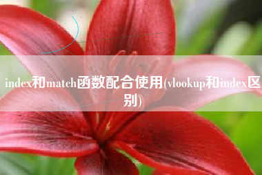 index和match函数配合使用(vlookup和index区别)
