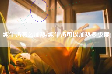 纯牛奶怎么加热(纯牛奶可以加热多少度)