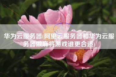 华为云服务器(阿里云服务器和华为云服务器做麻将游戏谁更合适)