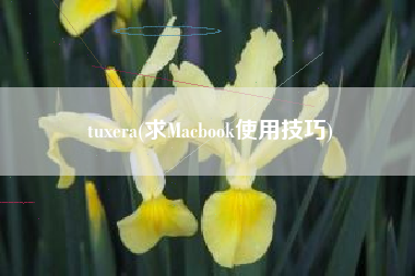 tuxera(求Macbook使用技巧)