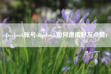 facebook账号(facebook如何邀请好友点赞)