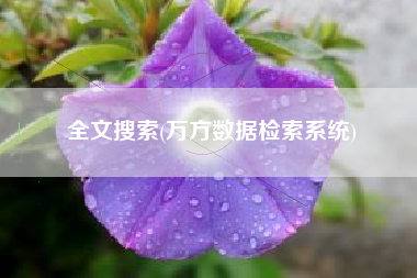 全文搜索(万方数据检索系统)