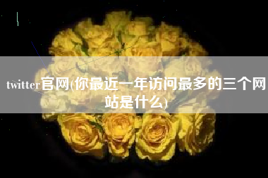 twitter官网(你最近一年访问最多的三个网站是什么)