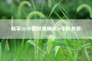 畅享20(中国联通畅享20手机参数)