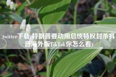 twitter下载(特朗普要动用总统特权封杀抖音海外版TikTok你怎么看)