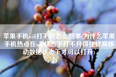苹果手机wifi打不开怎么回事(为什么苹果手机热点在wifi状态下打不开得在蜂窝移动数据状态下才可以打开)