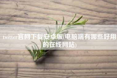 twitter官网下载安卓版(电脑端有哪些好用的在线网站)