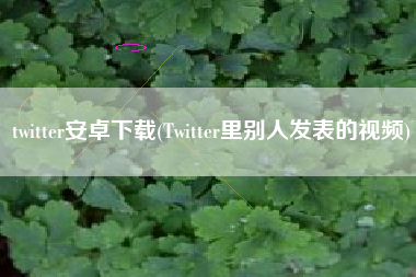 twitter安卓下载(Twitter里别人发表的视频)