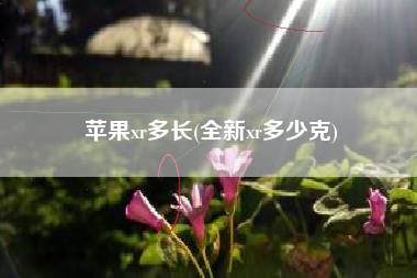 苹果xr多长(全新xr多少克)