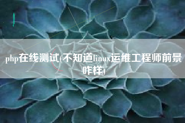 php在线测试(不知道linux运维工程师前景咋样)