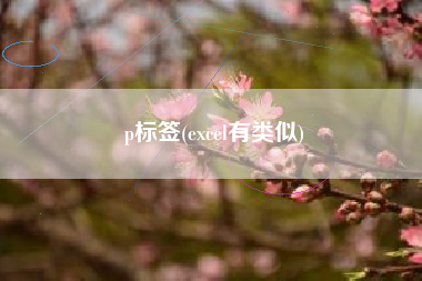p标签(excel有类似)