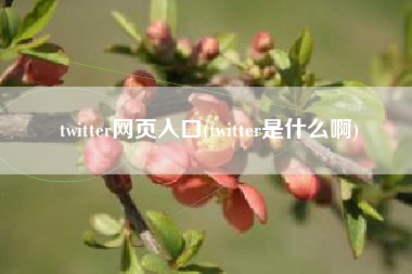 twitter网页入口(twitter是什么啊)