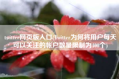 twitter网页版入口(Twitter为何将用户每天可以关注的帐户数量限制为400个)