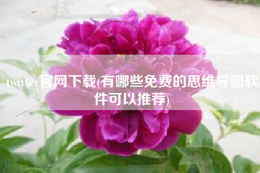 twitter官网下载(有哪些免费的思维导图软件可以推荐)