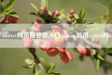 twitter网页版登录入口(iphone能用twitter吗)