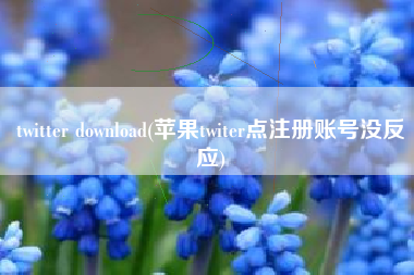 twitter download(苹果twiter点注册账号没反应)