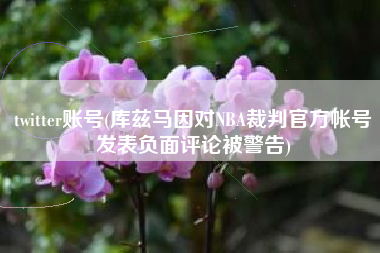 twitter账号(库兹马因对NBA裁判官方帐号发表负面评论被警告)
