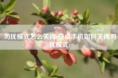 勿扰模式怎么关闭(安卓手机如何关闭勿扰模式)