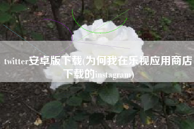 twitter安卓版下载(为何我在乐视应用商店下载的instagram)