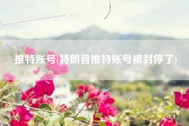 推特账号(特朗普推特账号被封停了)