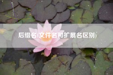 后缀名(文件名和扩展名区别)