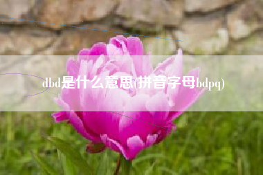 dbd是什么意思(拼音字母bdpq)