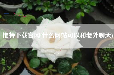 推特下载官网(什么网站可以和老外聊天)