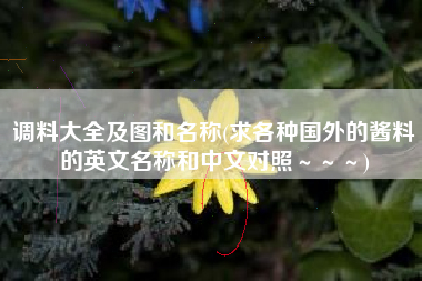 调料大全及图和名称(求各种国外的酱料的英文名称和中文对照~~~)