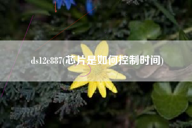 ds12c887(芯片是如何控制时间)