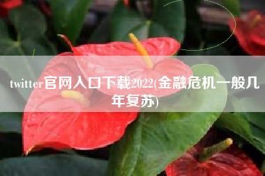 twitter官网入口下载2022(金融危机一般几年复苏)