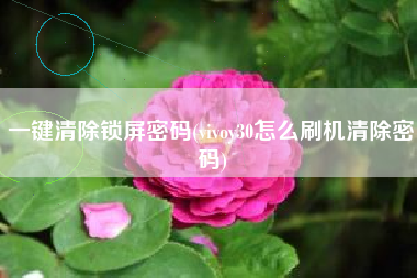 一键清除锁屏密码(vivoy30怎么刷机清除密码)