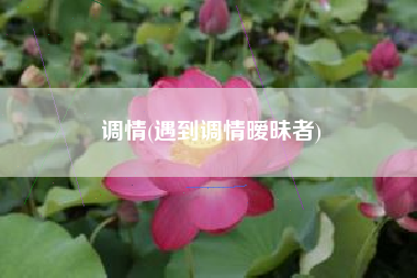 调情(遇到调情暧昧者)