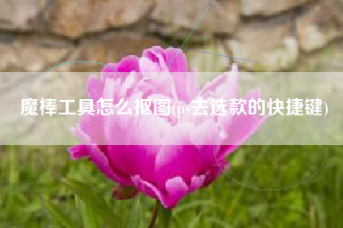 魔棒工具怎么抠图(ps去选款的快捷键)