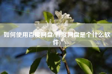 如何使用百度网盘(百度网盘是个什么软件)