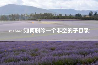 verbose(如何删除一个非空的子目录)