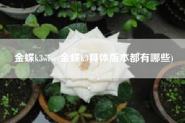 详细阅读:金蝶k3wise(金蝶k3具体版本都有哪些) 金蝶k3wise(金蝶k3具体版本都有哪些)