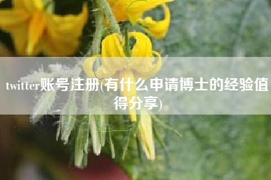 twitter账号注册(有什么申请博士的经验值得分享)