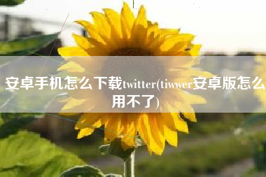 安卓手机怎么下载twitter(tiwwer安卓版怎么用不了)