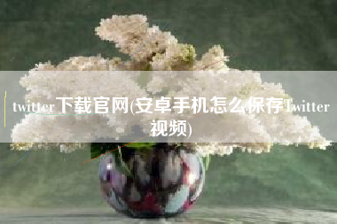 twitter下载官网(安卓手机怎么保存Twitter视频)