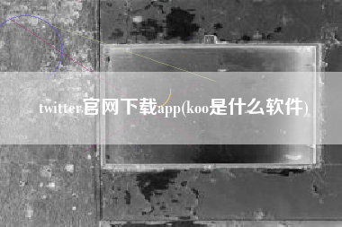 twitter官网下载app(koo是什么软件)