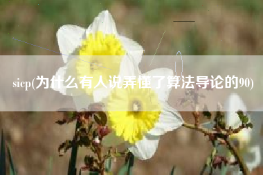 sicp(为什么有人说弄懂了算法导论的90)