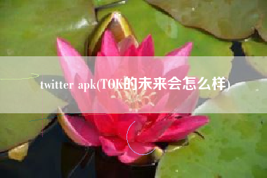 twitter apk(TOK的未来会怎么样)