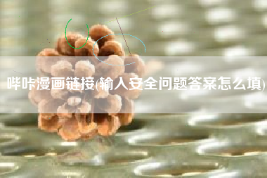 哔咔漫画链接(输入安全问题答案怎么填)