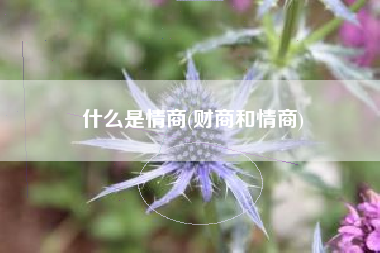 什么是情商(财商和情商)