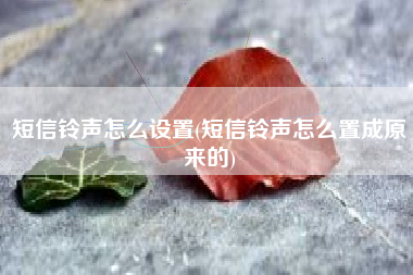 短信铃声怎么设置(短信铃声怎么置成原来的)