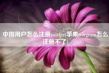 中国用户怎么注册twitter(苹果telrgram怎么注册不了)