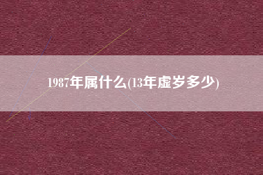 1987年属什么(13年虚岁多少)