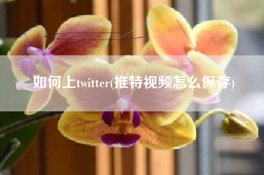 如何上twitter(推特视频怎么保存)