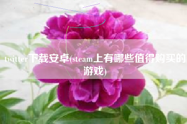 twitter下载安卓(steam上有哪些值得购买的游戏)
