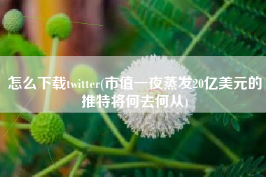怎么下载twitter(市值一夜蒸发20亿美元的推特将何去何从)
